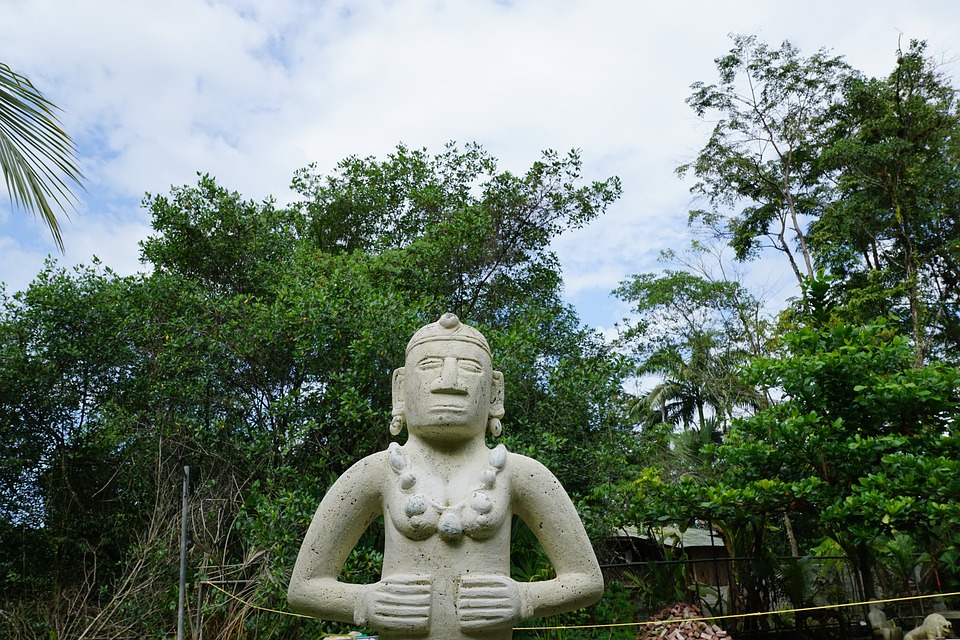 Slide Image
